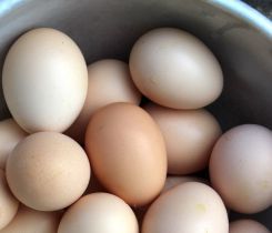 Jaką stawką objąć wewnątrzwspólnotowe nabycie jaj przez rolnika ryczałtowego